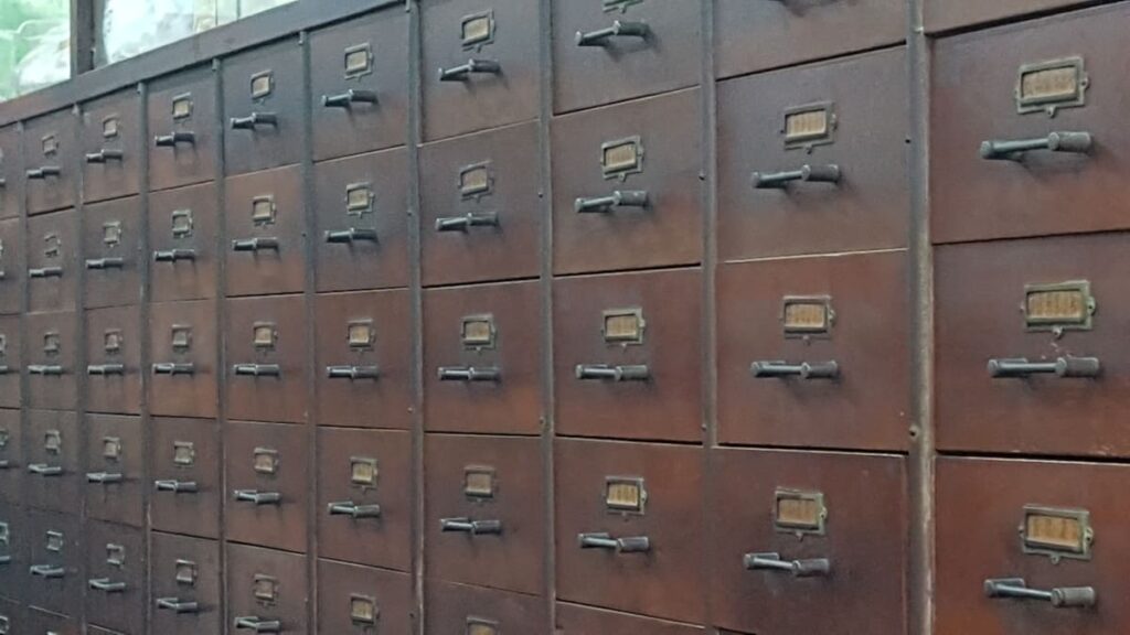 Chinesische Kräutertherapie-TCM- Tierheilpraktikerin München