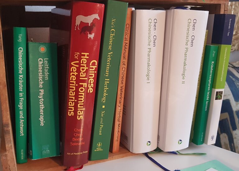 kleiner Blick auf einen Teil meiner eigenen Fachbibliothek