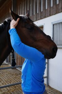 Osteopathie und Manuelle Therapie für Tiere