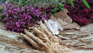 Traditionelle Chinesische Medizin TCM für Tiere