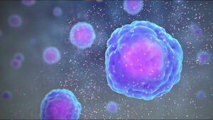 Biomolekulare vitOrgan Therapie