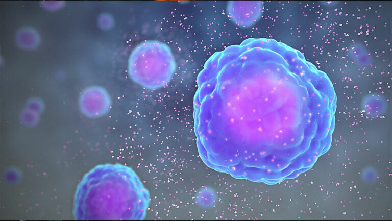 Biomolekulare vitOrgan Therapie